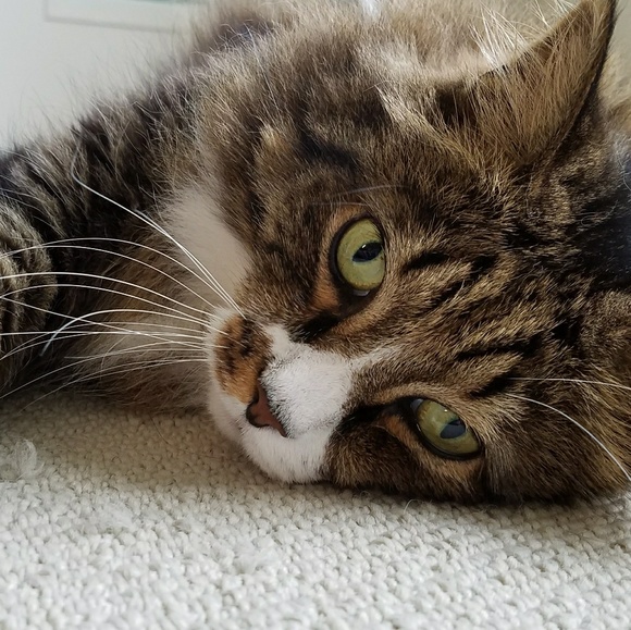 Meet the Posher - Picture 5 of 8